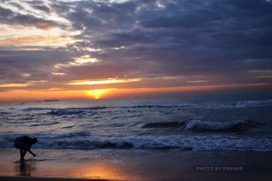 Sandee - Marina Beach