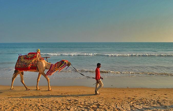 Sandee - Puri Beach