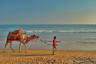 Sandee - Puri Beach