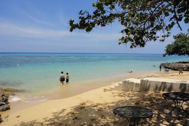 Sandee - Font Hill Beach