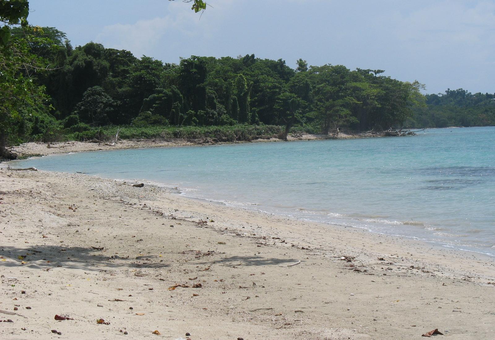 Sandee - Bluefields Beach