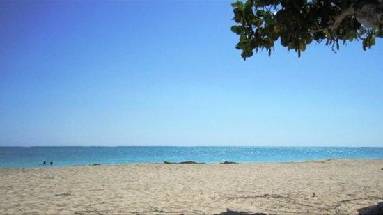 Sandee - Fort Clarence Beach