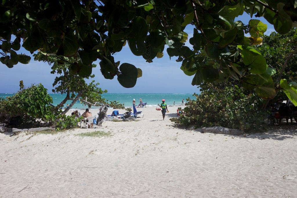 Sandee Fort Clarence Beach Photo