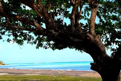 Sandee Lyssons Beach Photo