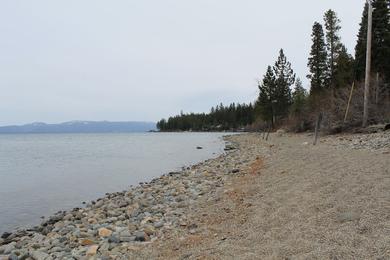 Sandee Meadow Road