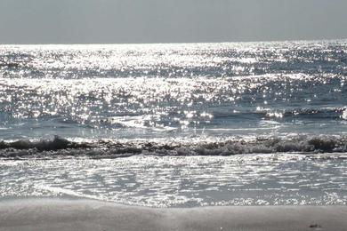 Sandee - Ventnor City Beach