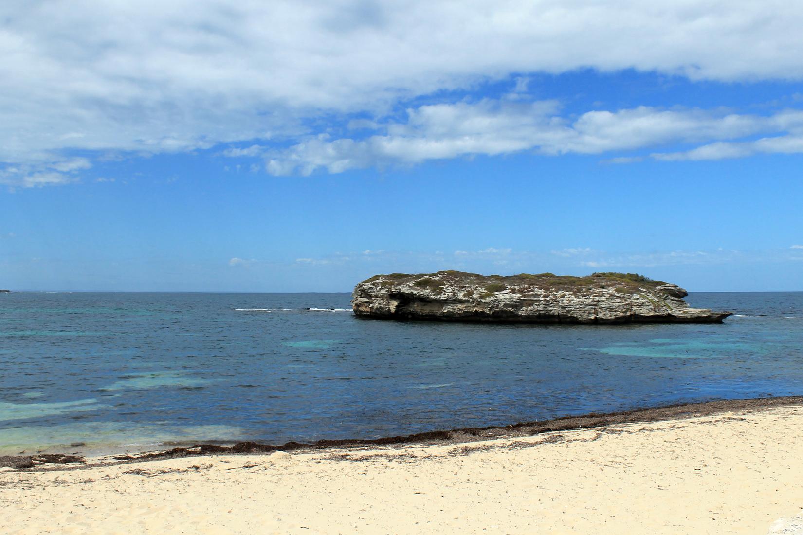 Sandee - Nancy Cove