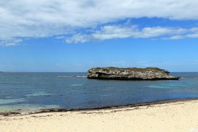 Sandee Nancy Cove Photo