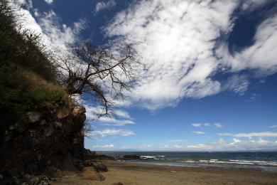 Sandee - Playa Linda