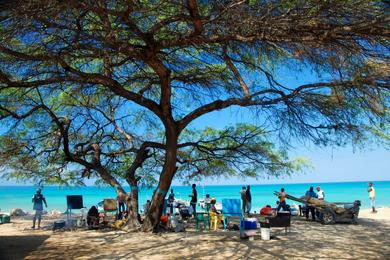 Sandee Anse-A-Pitres Beach Photo