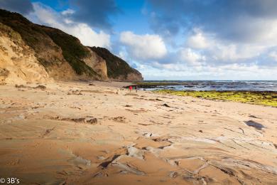 Sandee Wreck Beach Photo