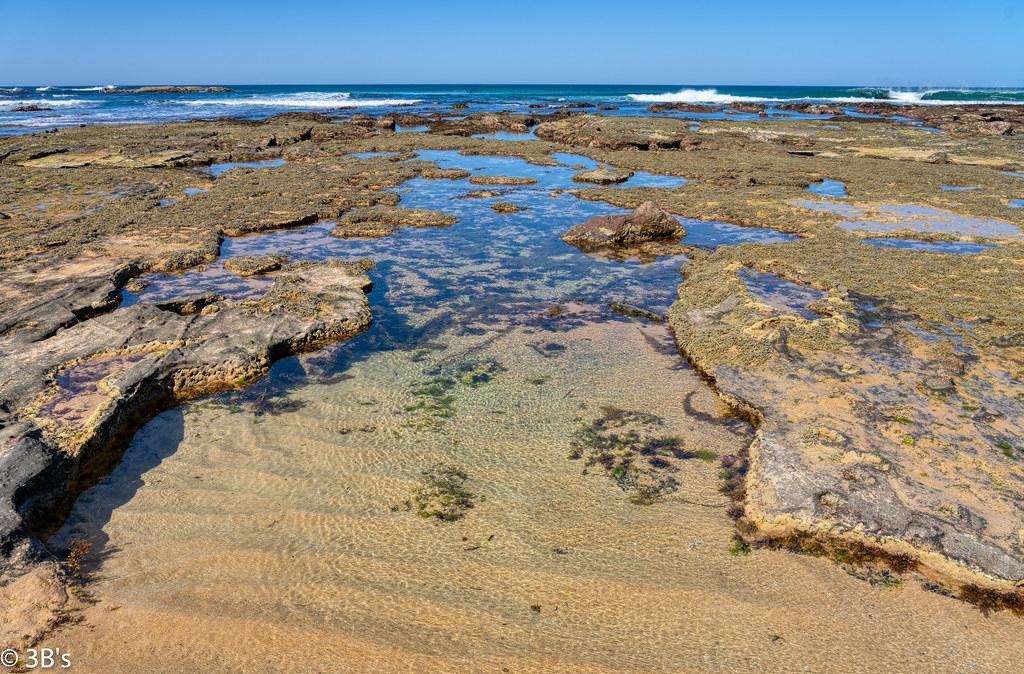 Sandee - Wreck Beach