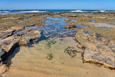 Sandee - Wreck Beach