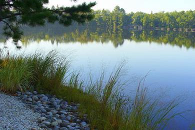 Sandee Belhaven Lake Beach Photo