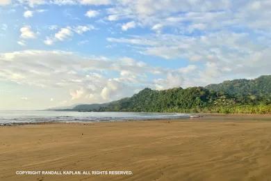 Sandee Playa Dominical Photo