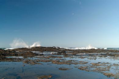 Sandee Playa Junquillal