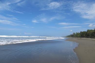 Sandee Playa Bejuco