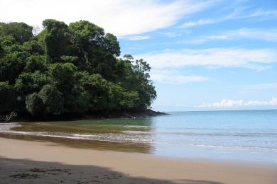 Sandee - Playa Pinuela