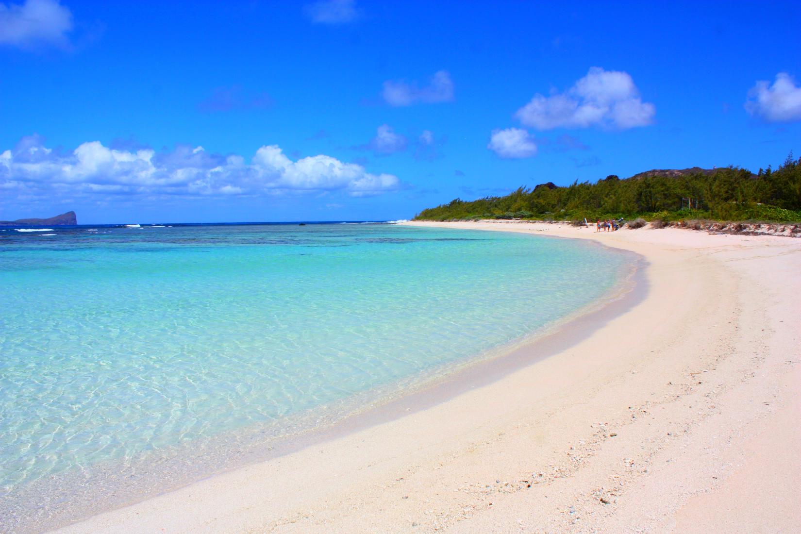 Sandee - Ile Plate Beach