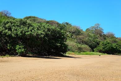 Sandee - Playa Copal