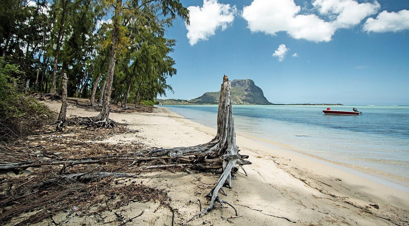 Sandee - Ile Aux Benitiers