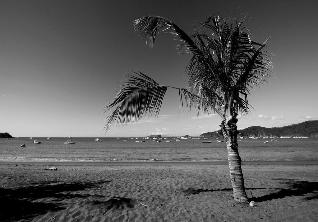 Sandee - Playa Del Coco Beach