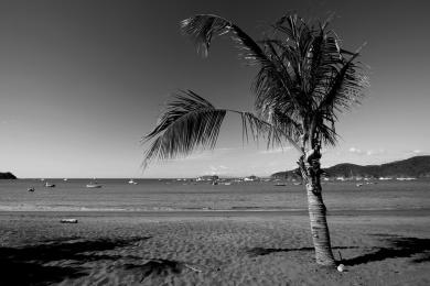 Sandee Playa Del Coco Beach Photo