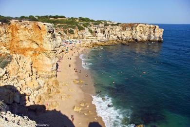 Sandee Praia Da Coelha