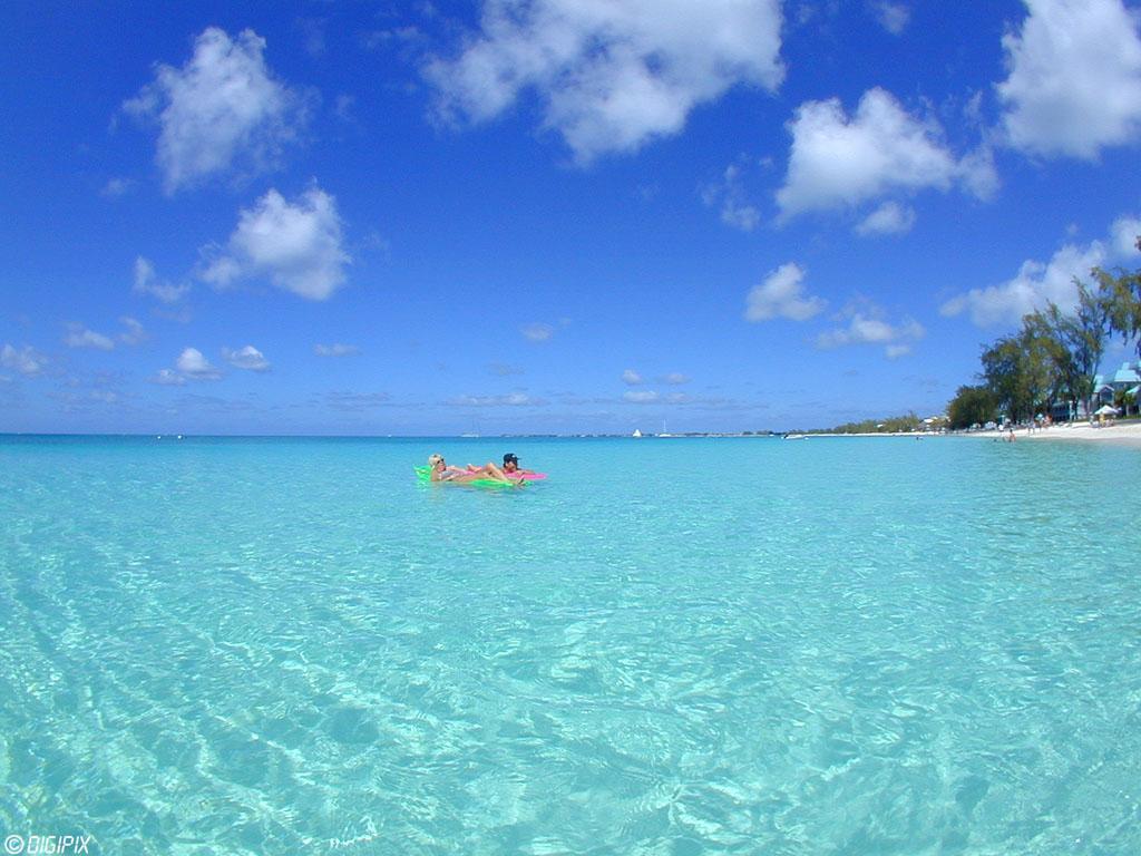 Sandee - Gun Bay Beach