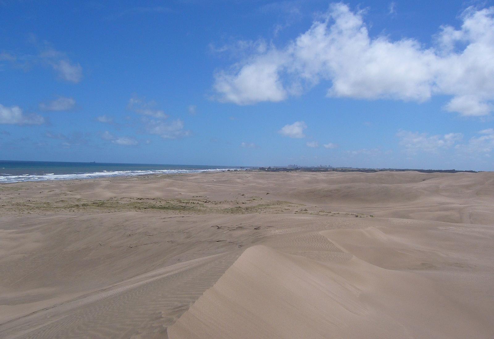 Sandee - HomePage / Arenas Verdes