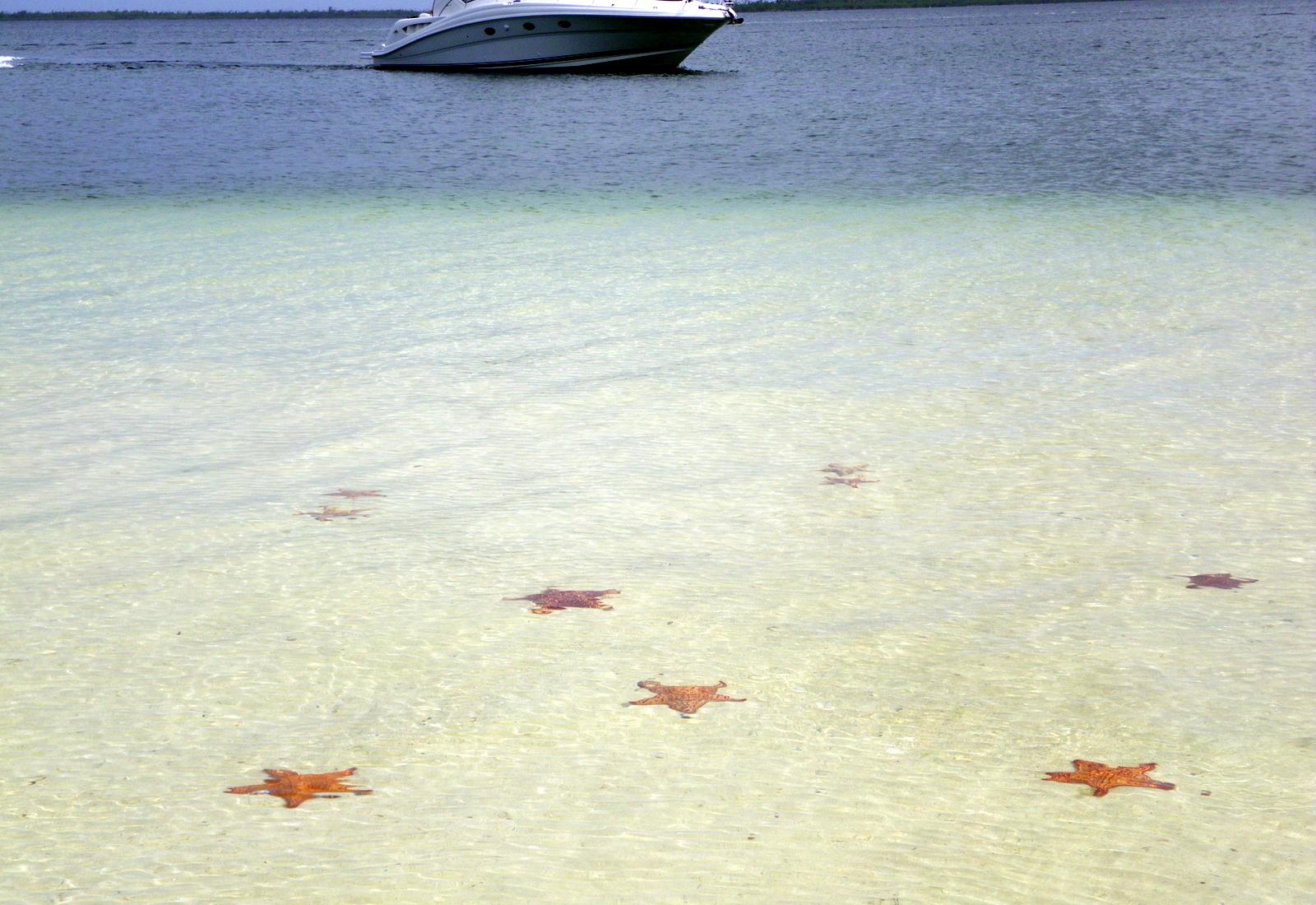 Sandee - Starfish Point