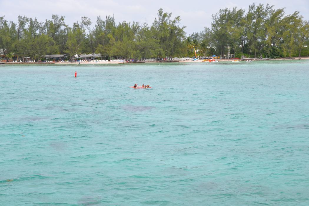 Sandee Coe Wood Beach