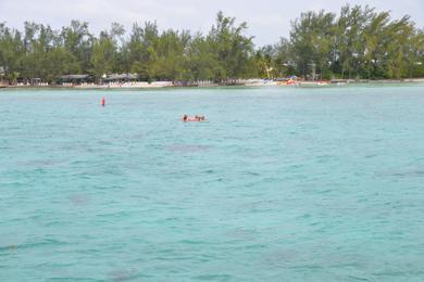 Sandee Coe Wood Beach