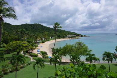 Sandee Hawksbill Beach Photo