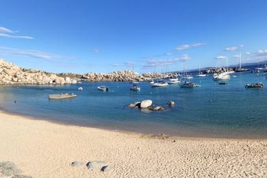 Sandee Lavezzi Isles
