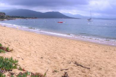 Sandee Plage De Porto Pollo