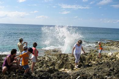 Sandee The Blowholes Photo