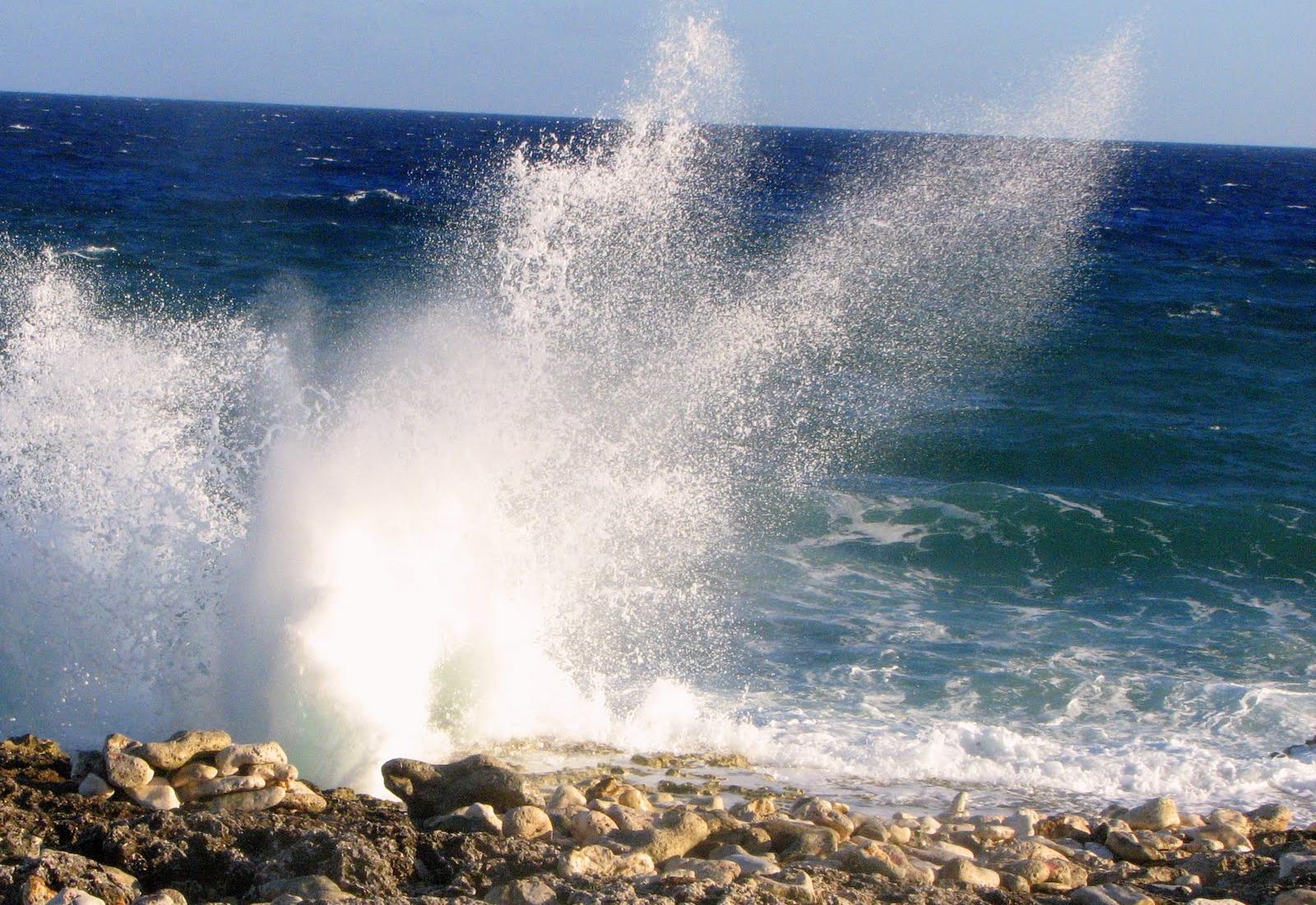 Sandee - The Blowholes