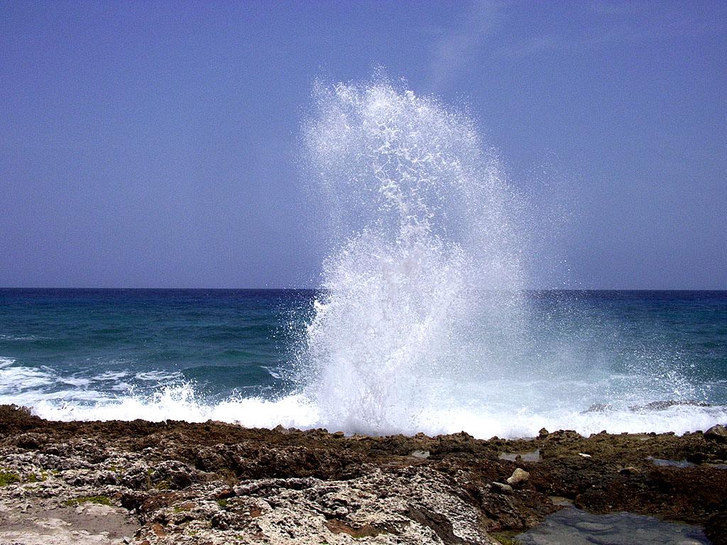 Sandee - The Blowholes