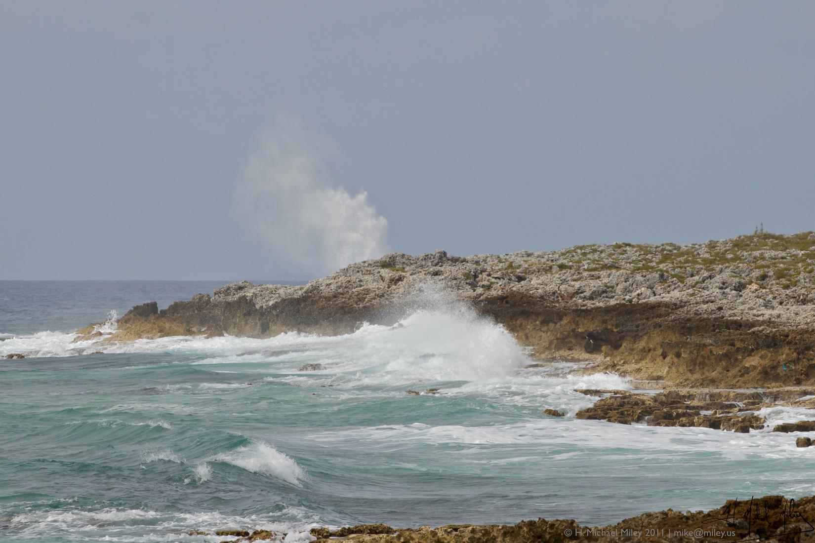 Sandee - The Blowholes