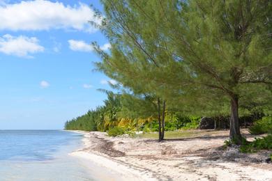 Sandee - Frank Sound Beach