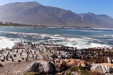 Sandee Betty Bay Point