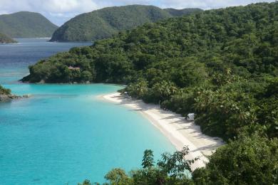 Sandee Trunk Bay