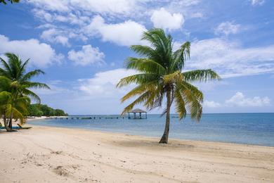 Sandee Palmetto Beach