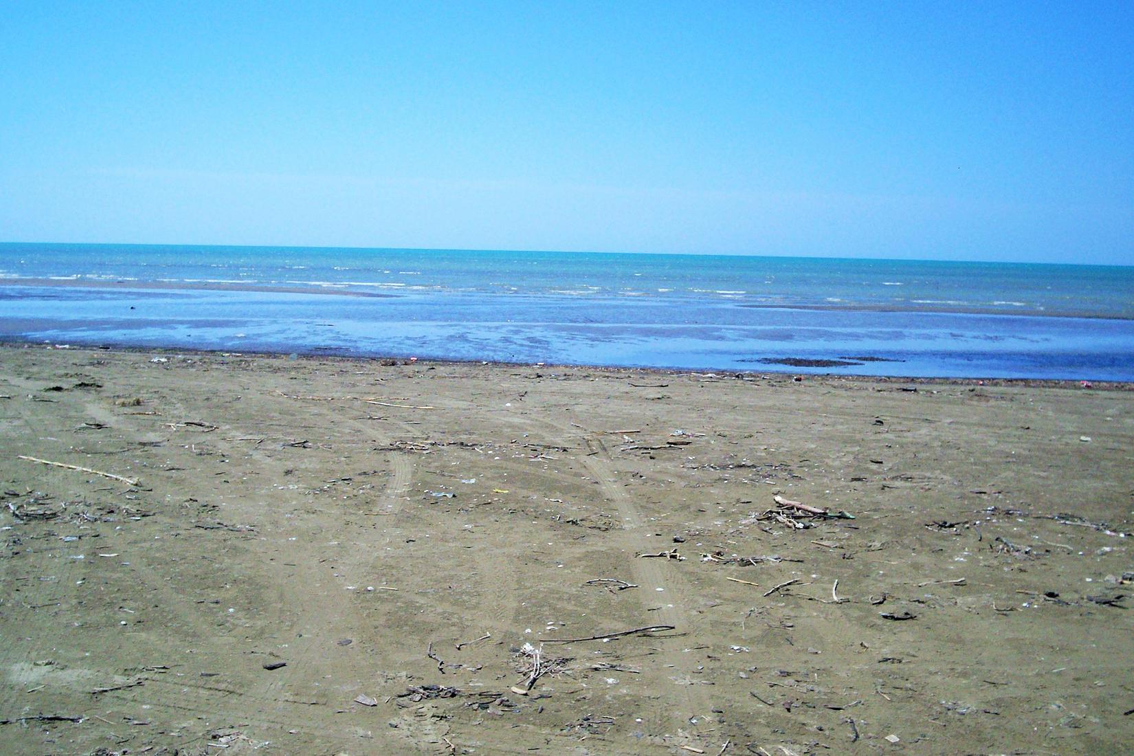 Sandee - Divjaka Beach