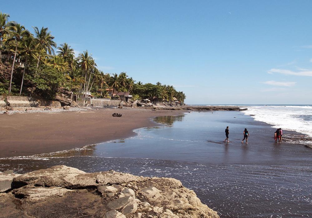 Sandee Playa El Zonte Photo