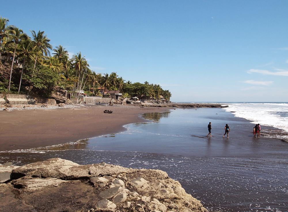 Sandee - Playa El Zonte