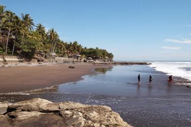 Sandee - Playa El Zonte