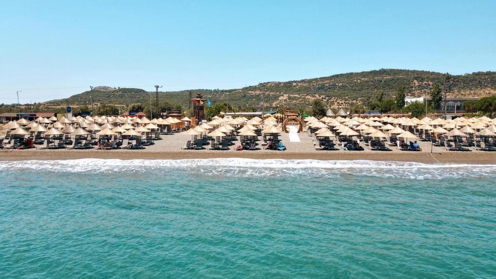 Sandee Assos Club Beyaz
