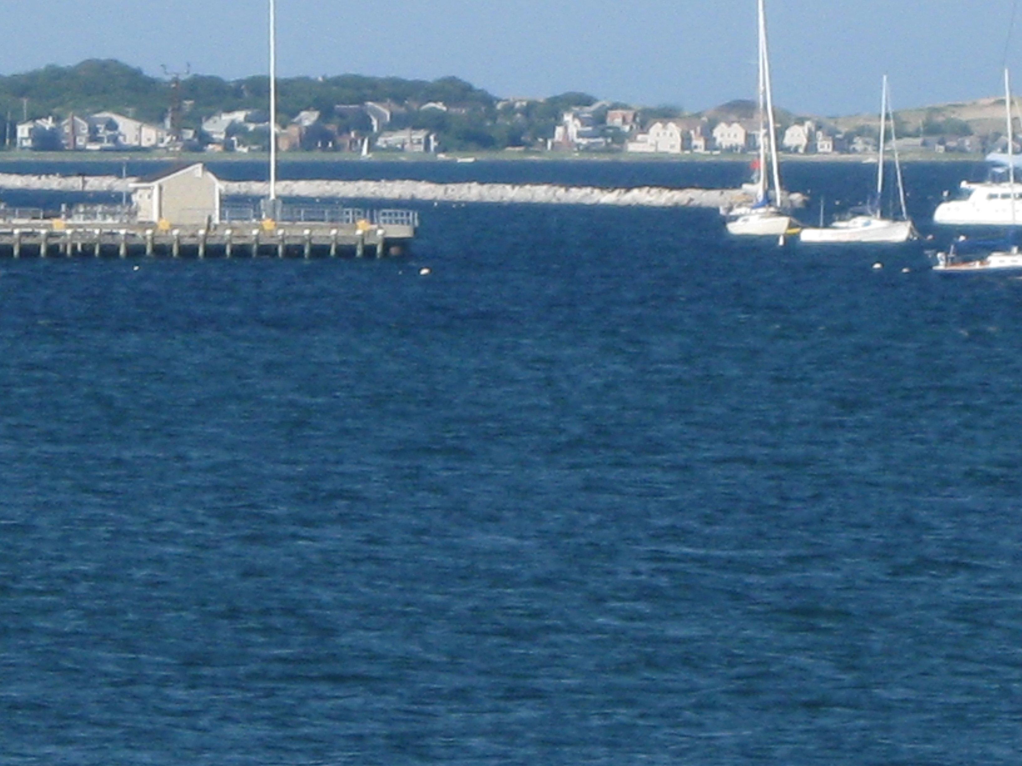 Sandee - Provincetown Inn Rotary